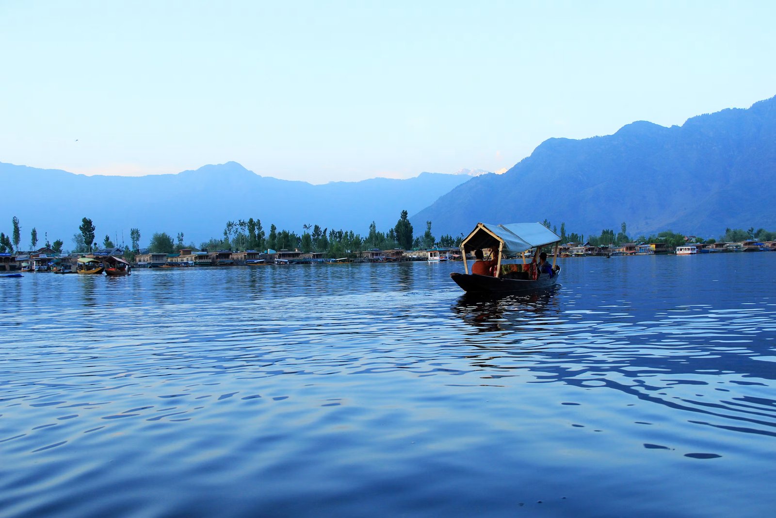 Dal Lake and the Himalayas, Kashmir